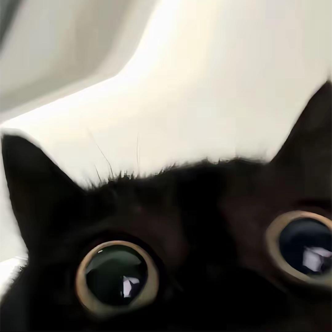2046