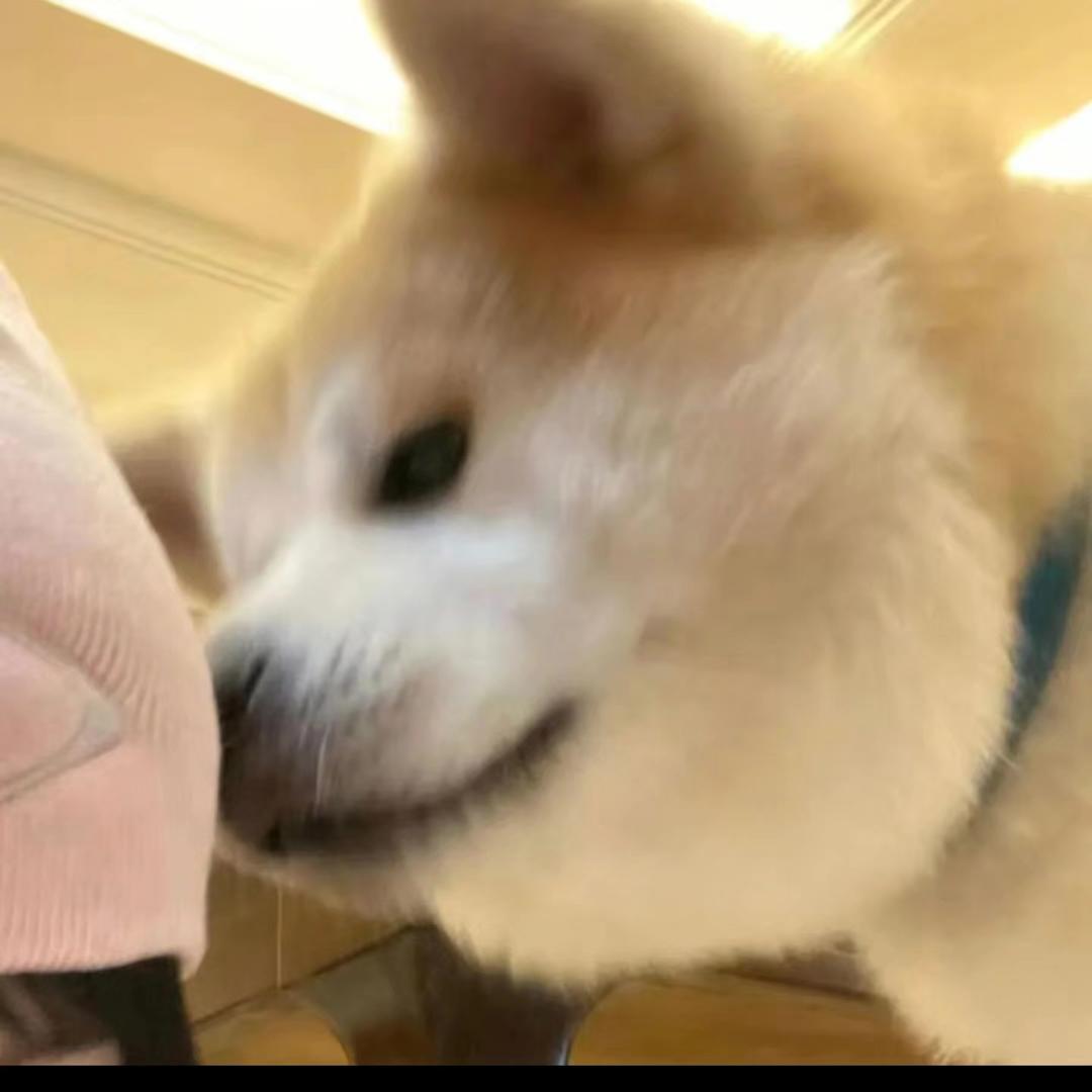 不会唱歌的辣子鸡