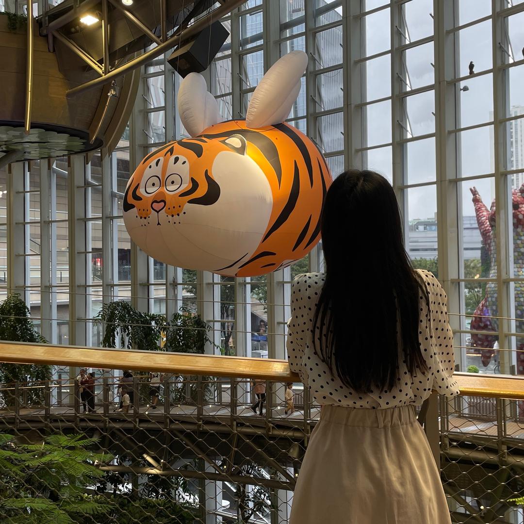 重庆智鑫店（兰兰）🌺