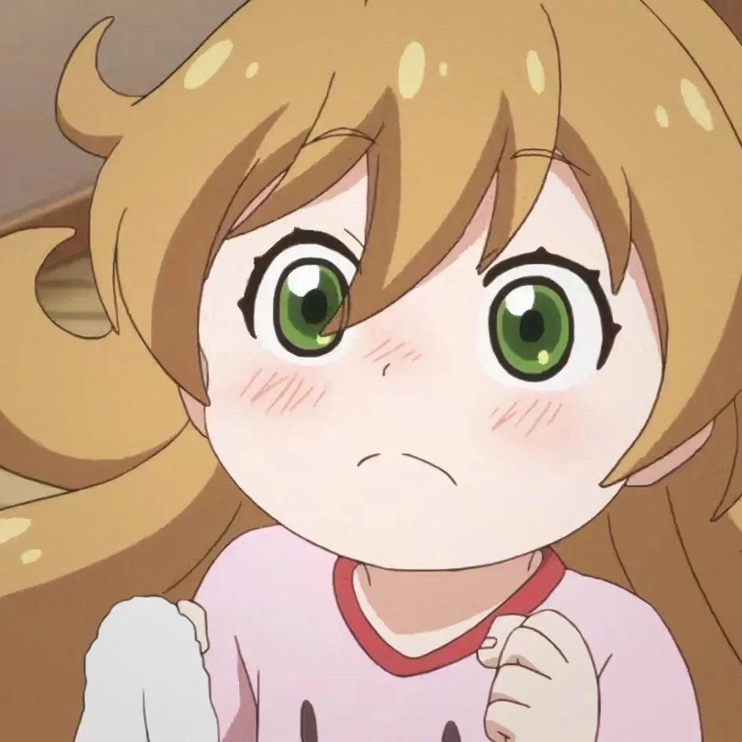 我有猫啦1