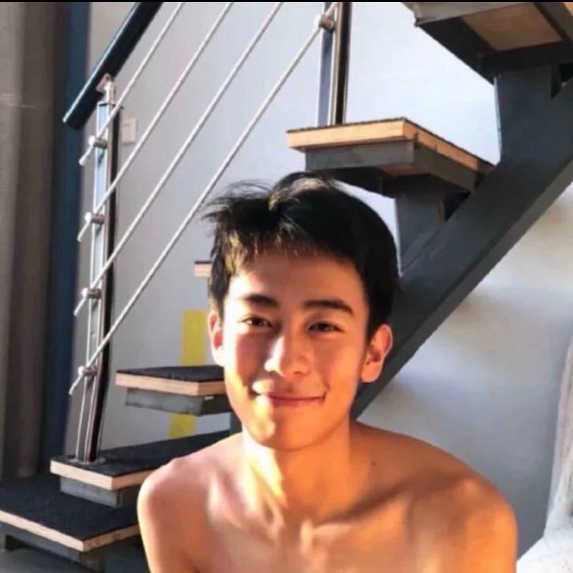 森林迷了鹿🦌、
