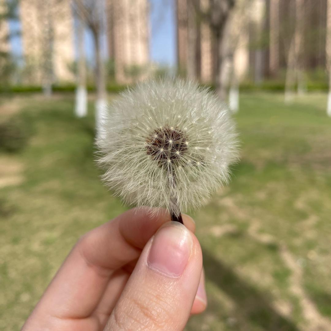 幻境星辰邓邓