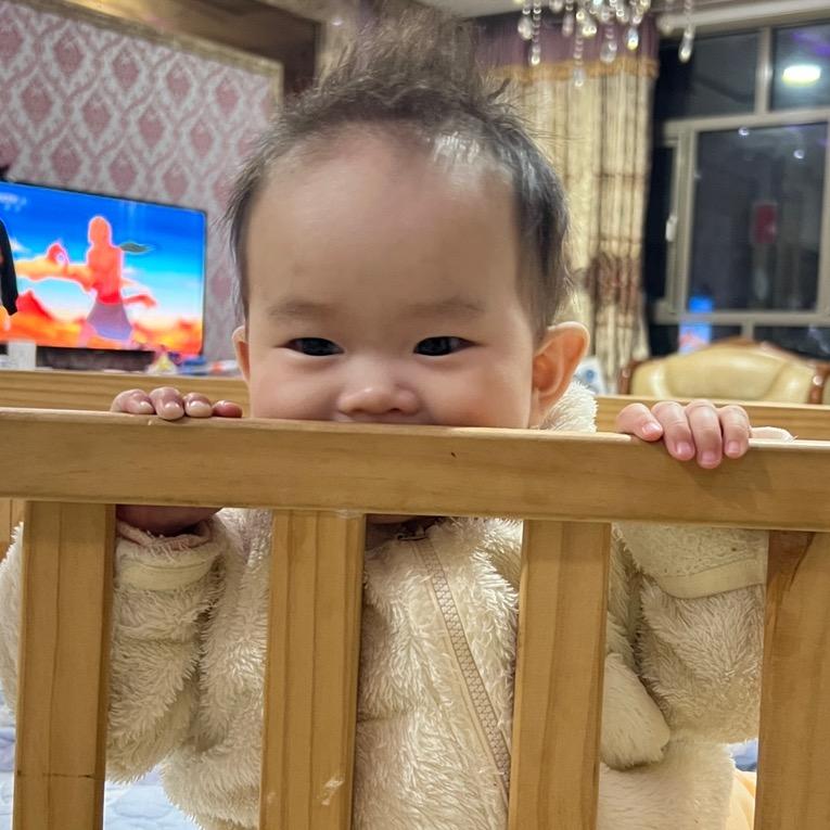 苏妞妞