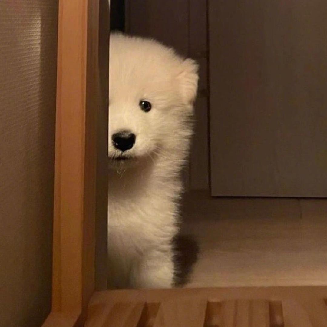 别不信