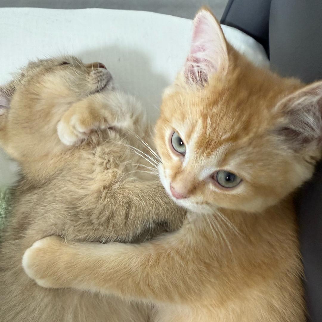 zzzz