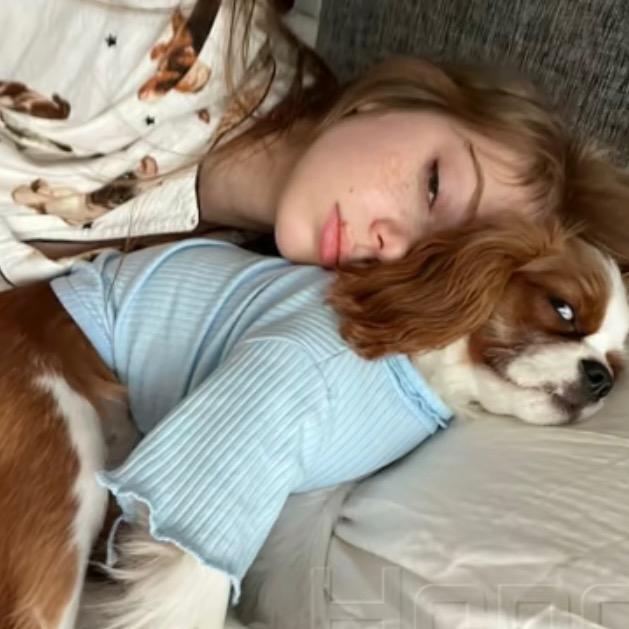 我不喜欢玫瑰花