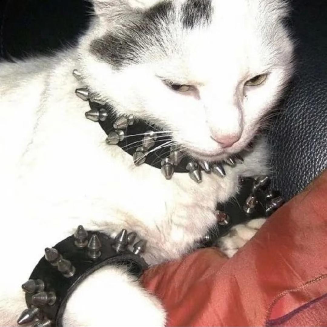 小蛇🐍（纹身版