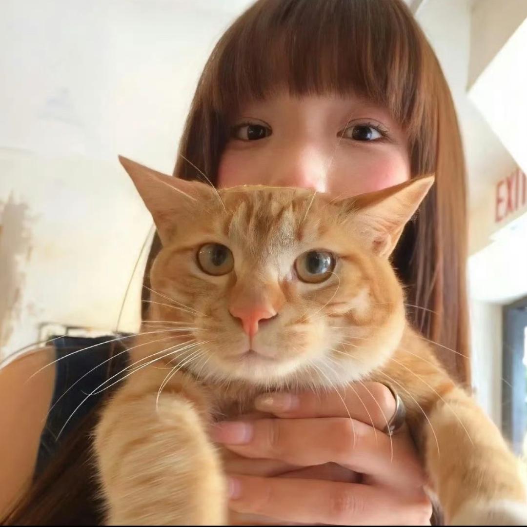 饱饱荔枝