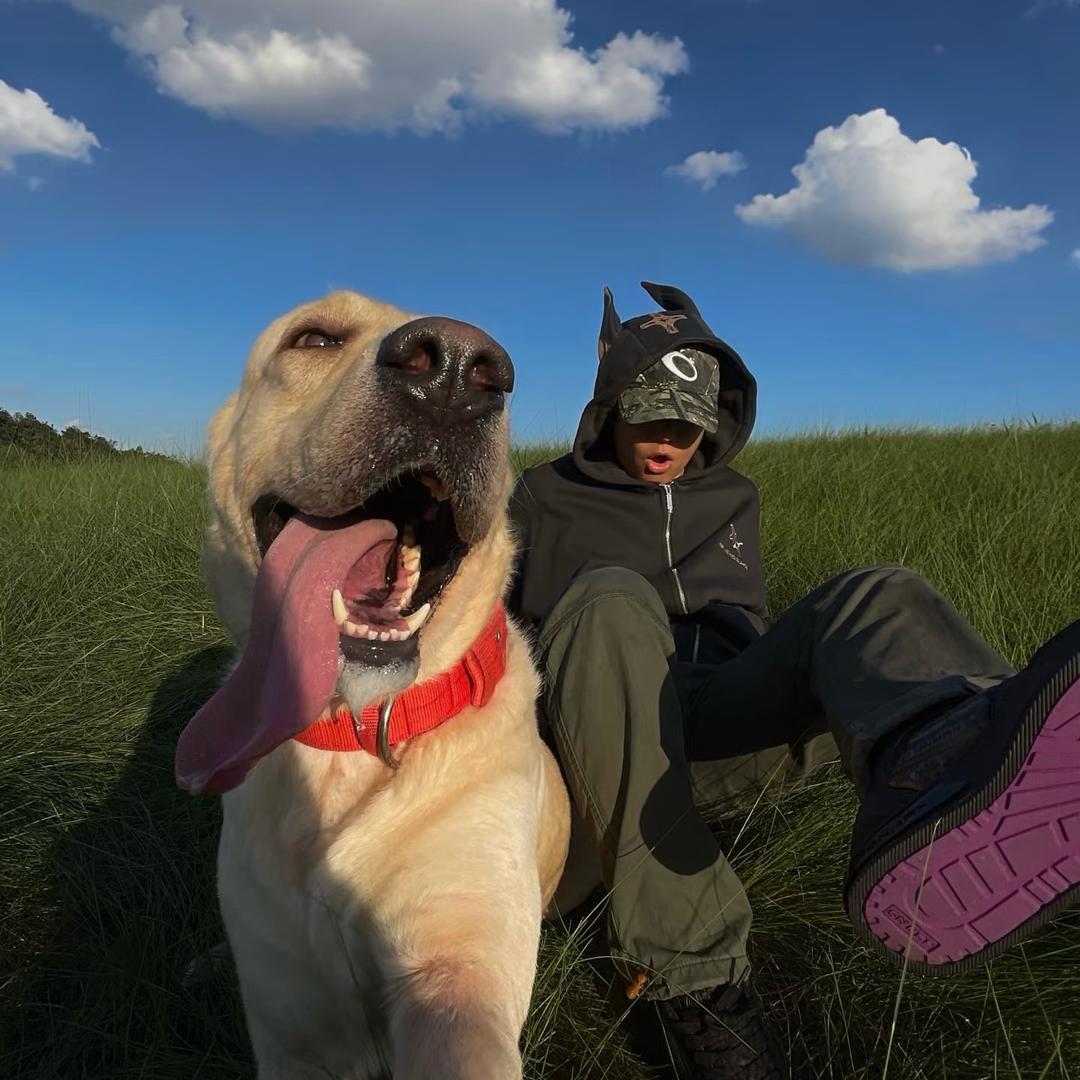 呆呆（三角洲行动）