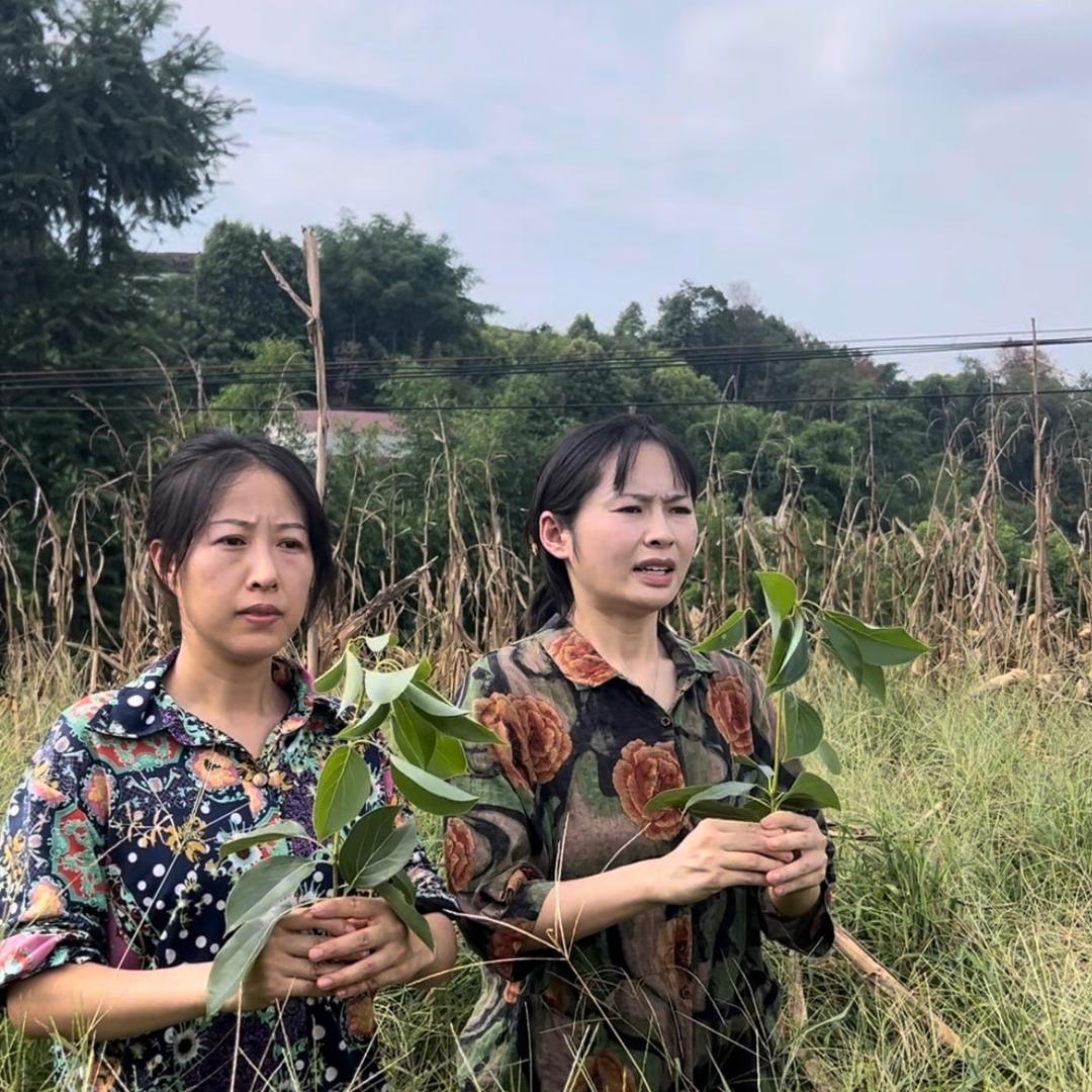 端子和小雷