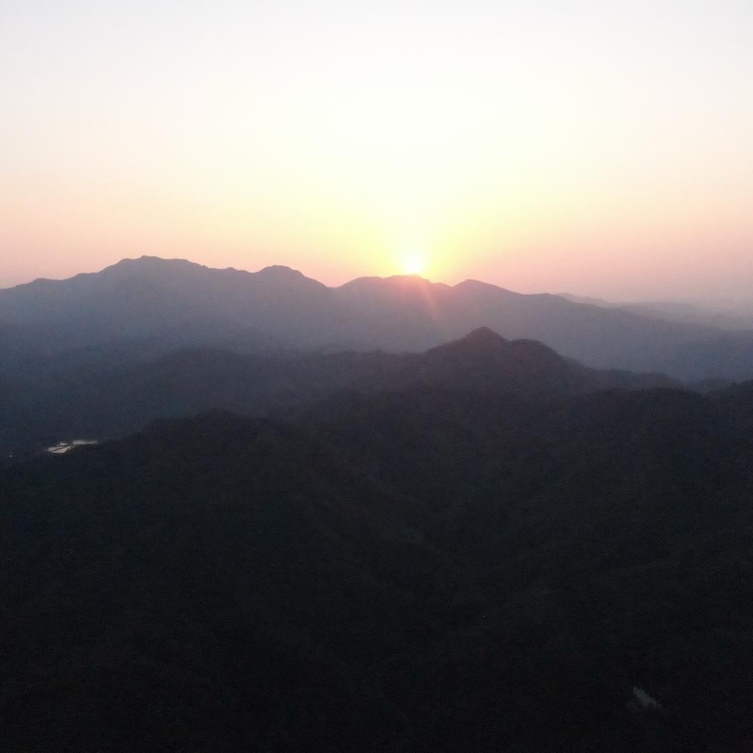 大别山·追蜂人