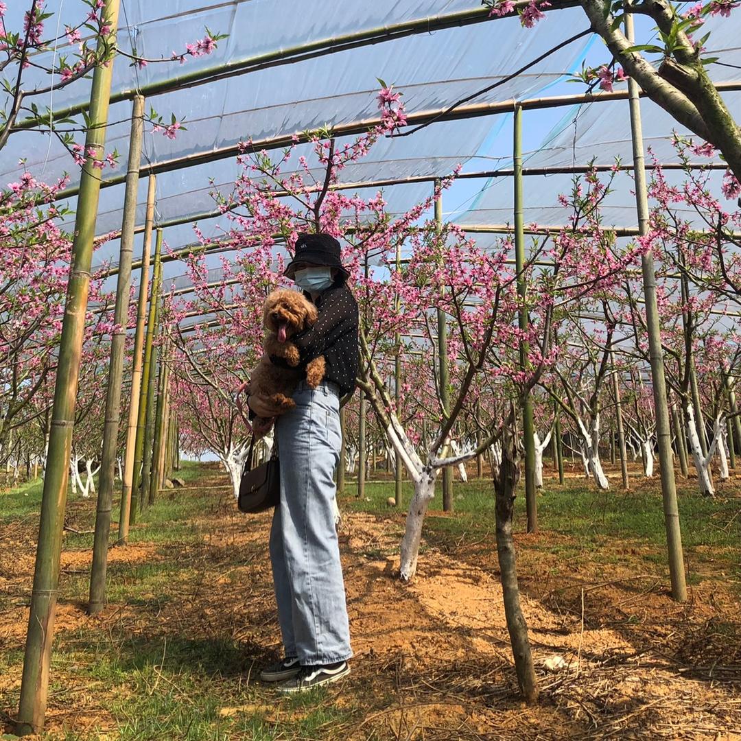 土豆是宝宝不可以吃