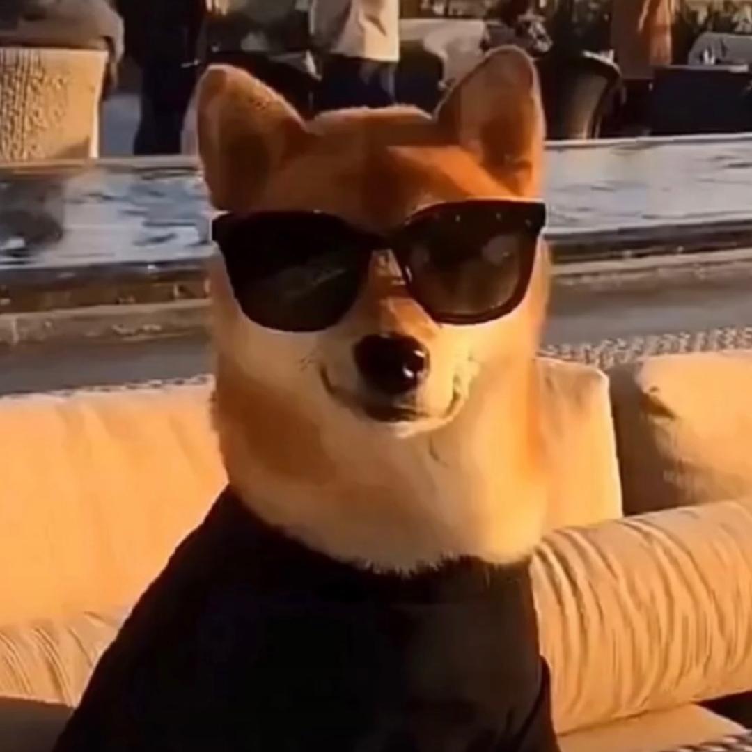 -哈哈哈