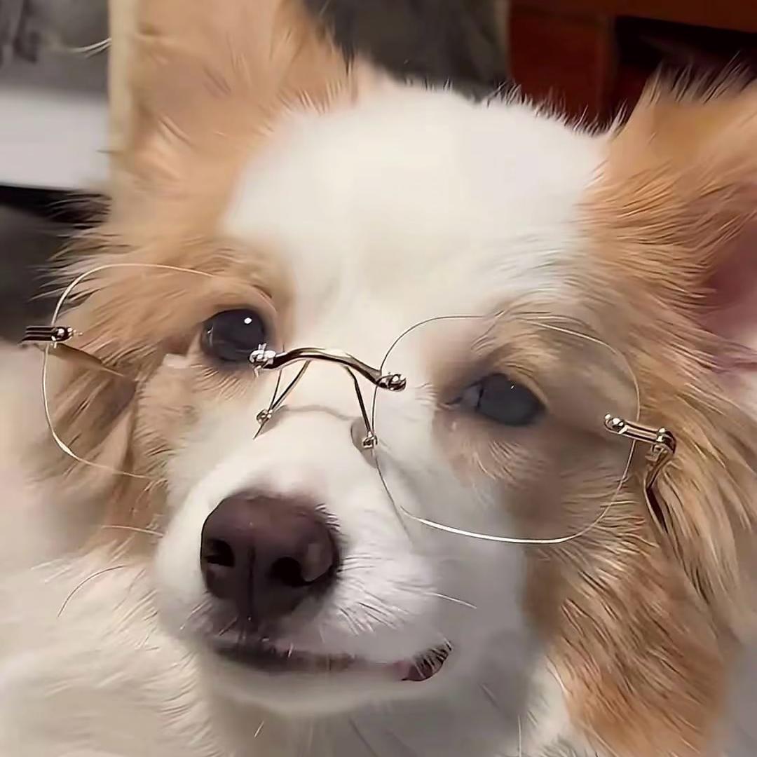 心若安