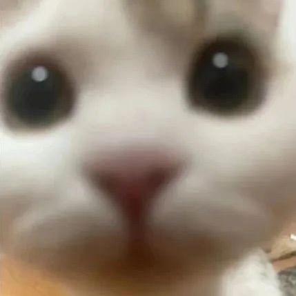 [文件]嫂子浴室勾引我.827.5MB