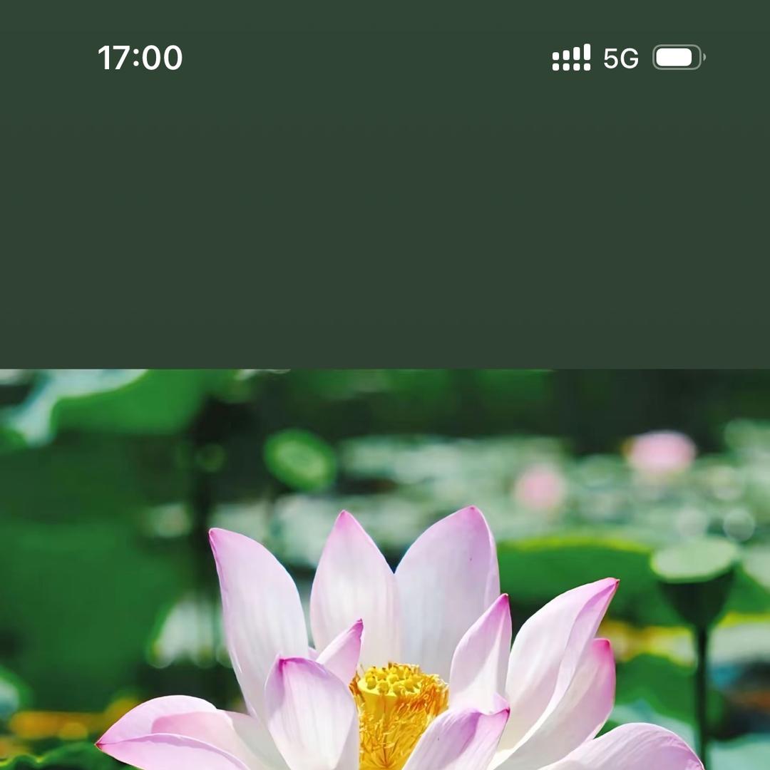 温柔日常直播号