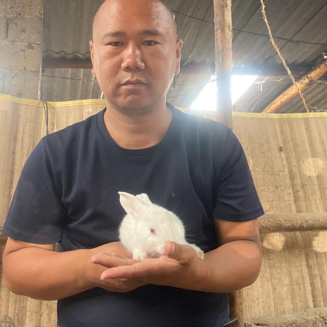 青春柱哥