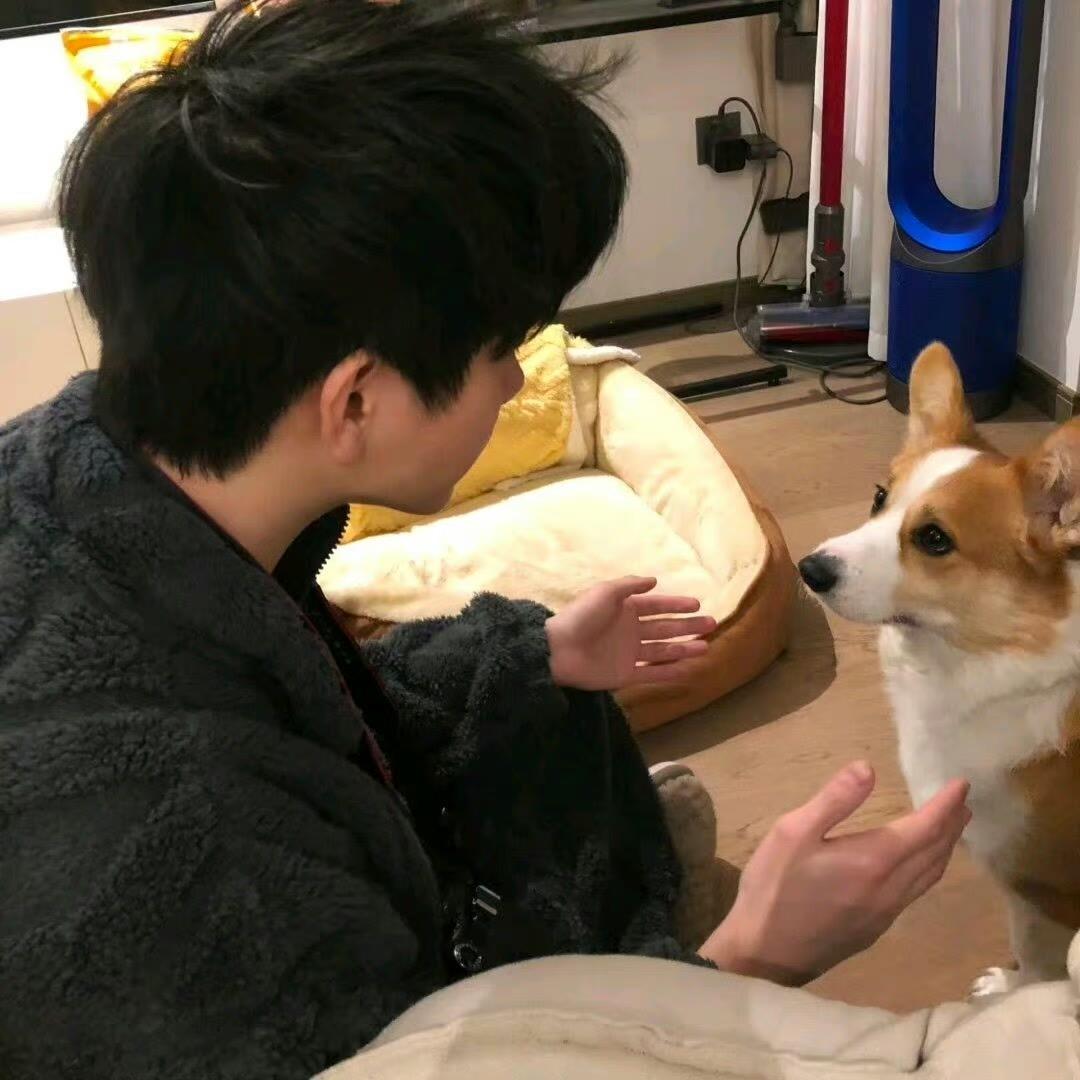 壹加