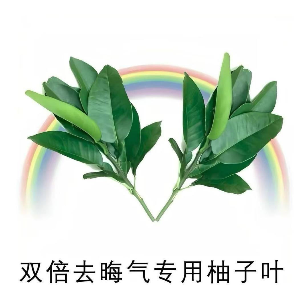 重庆最火小时场