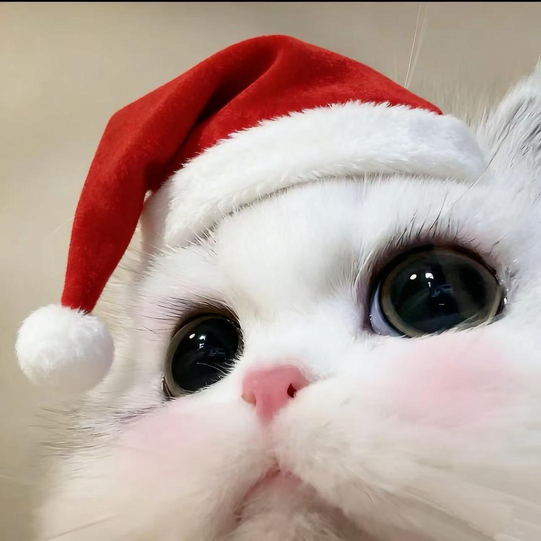 YY..