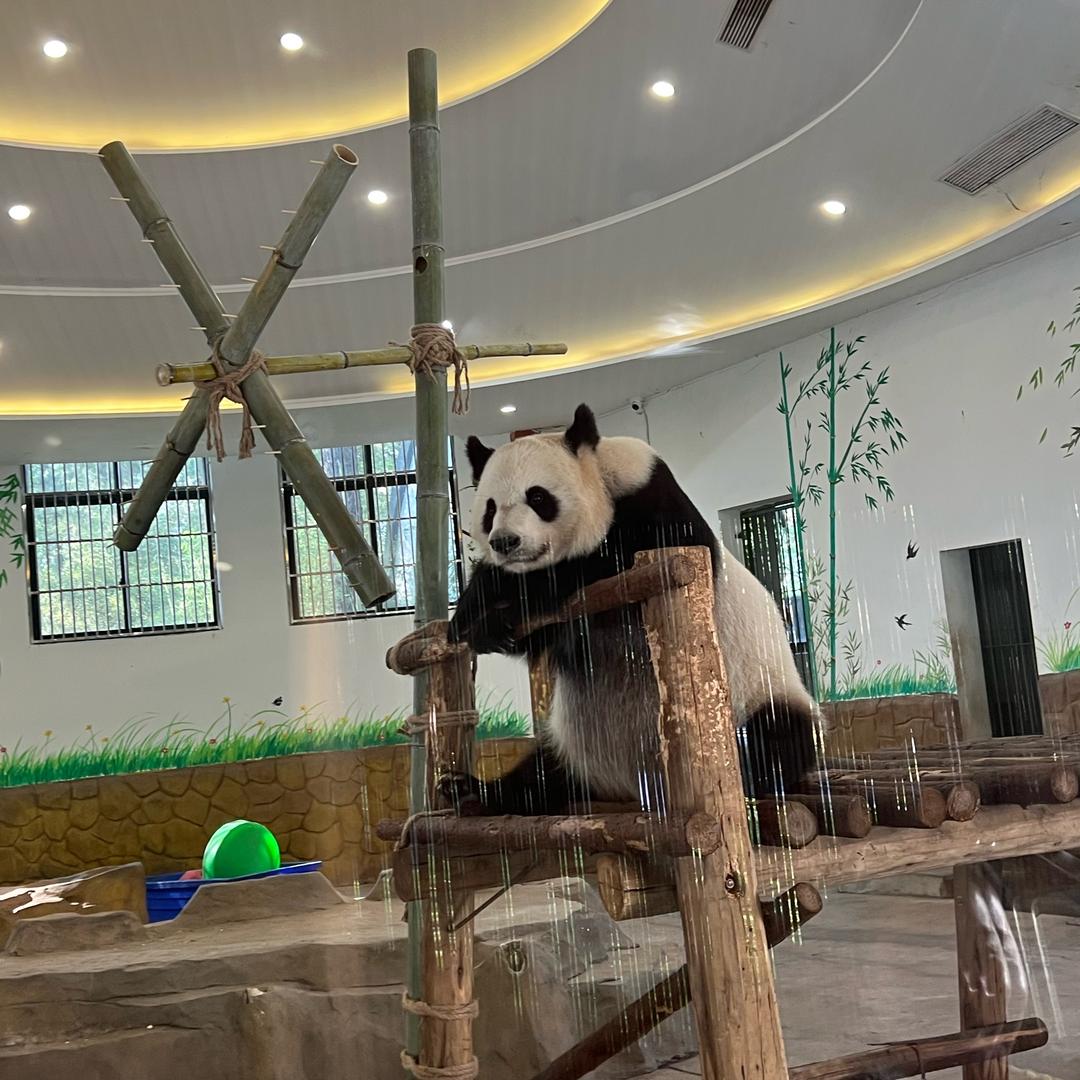 海的那边有没有蓝精灵