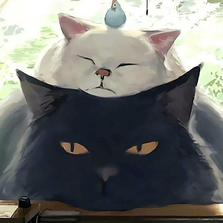 冬来秋去