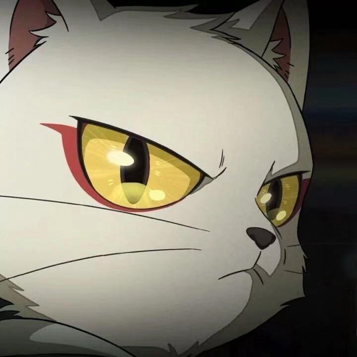 瑀哥
