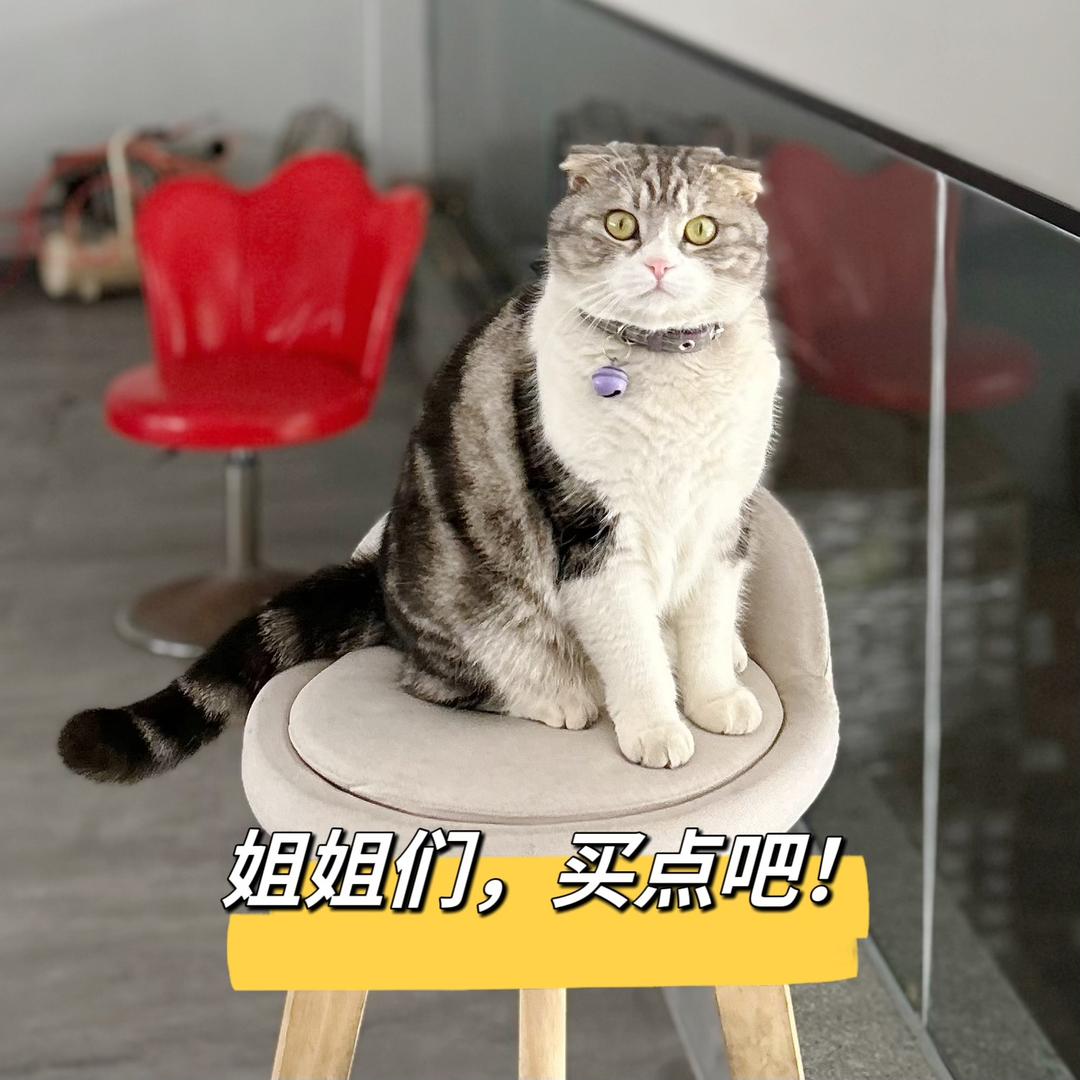momo手工穿戴甲