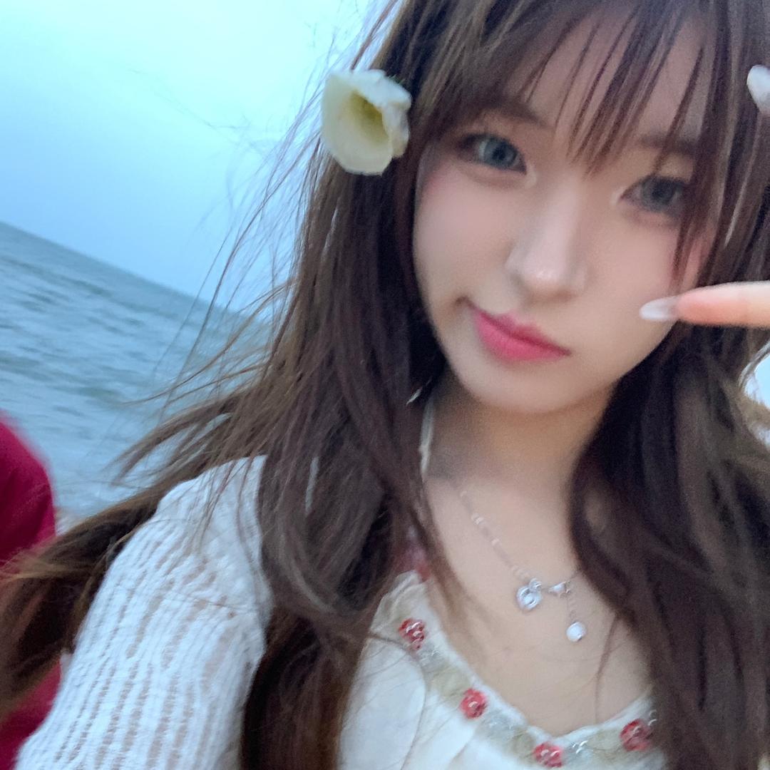 万能的人偶