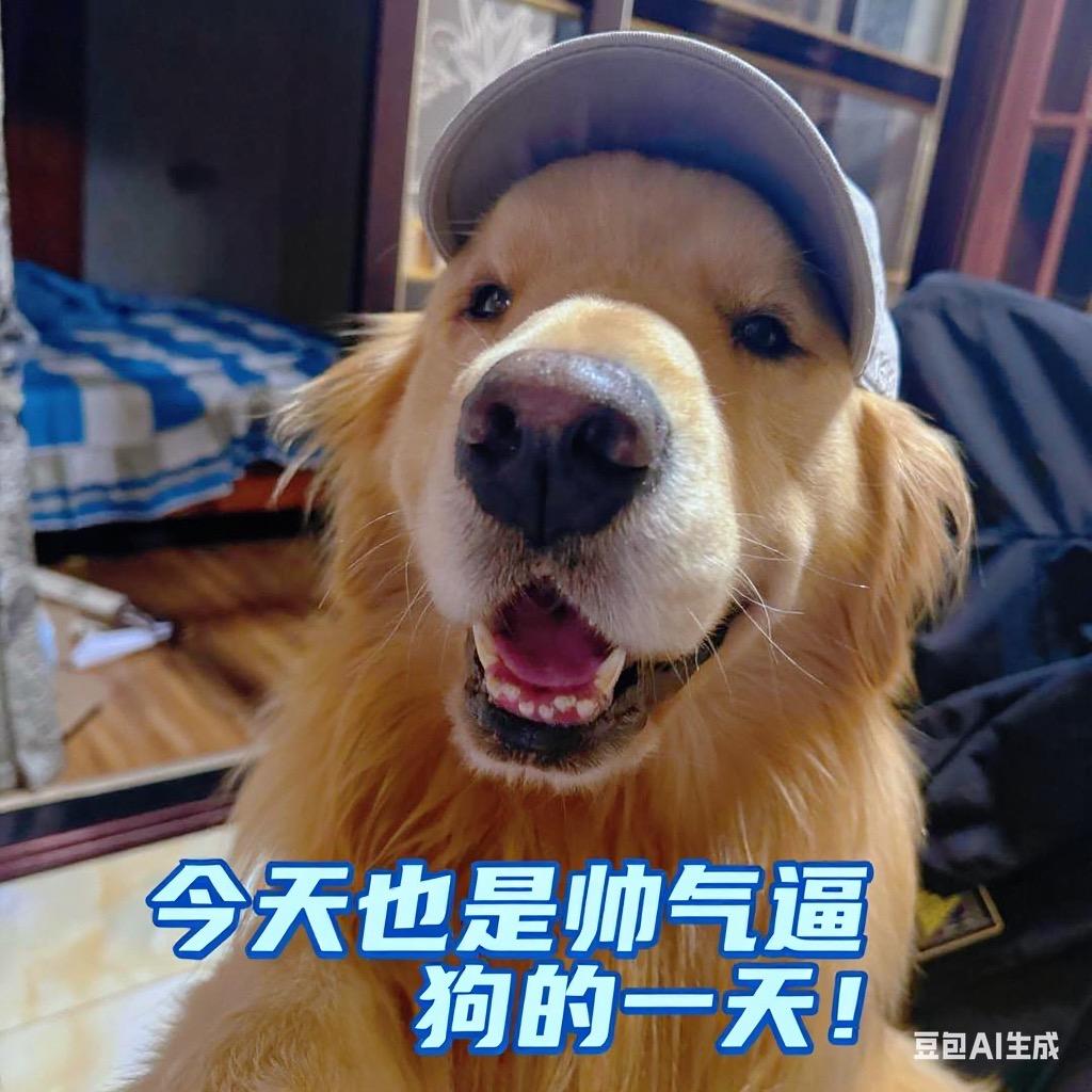 毛毛爱生气