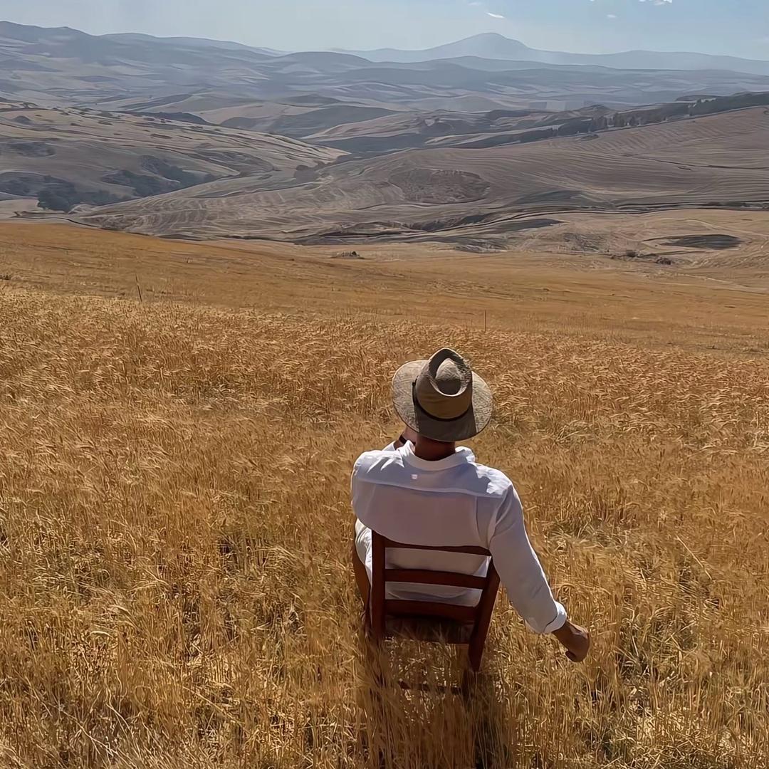 数据加载中……