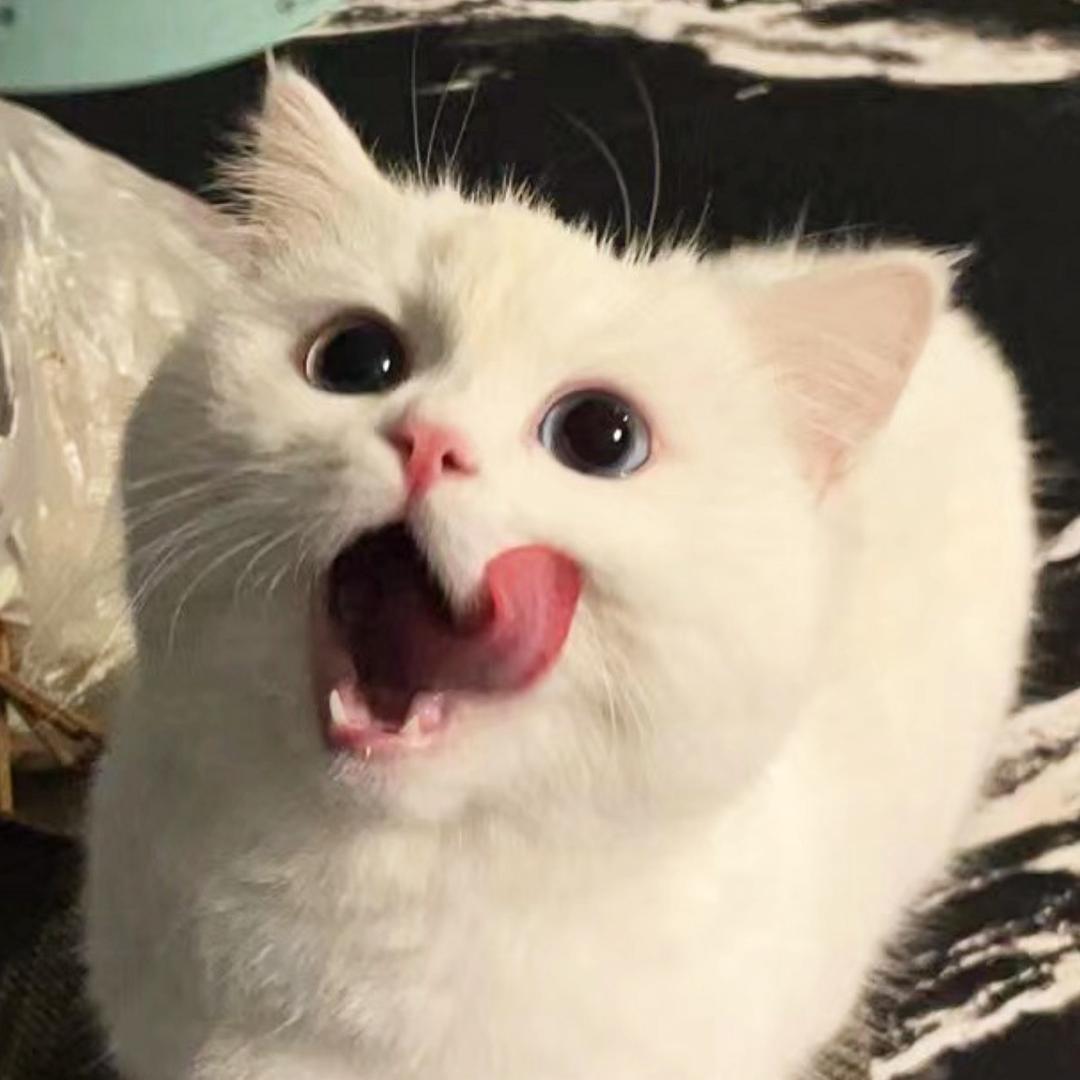 胖兜兜不了一点