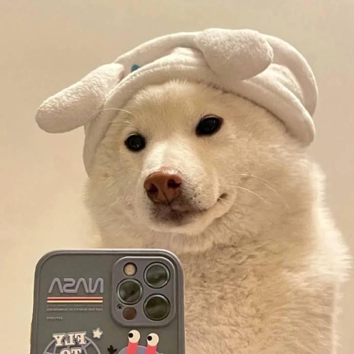 火龙果没有味儿