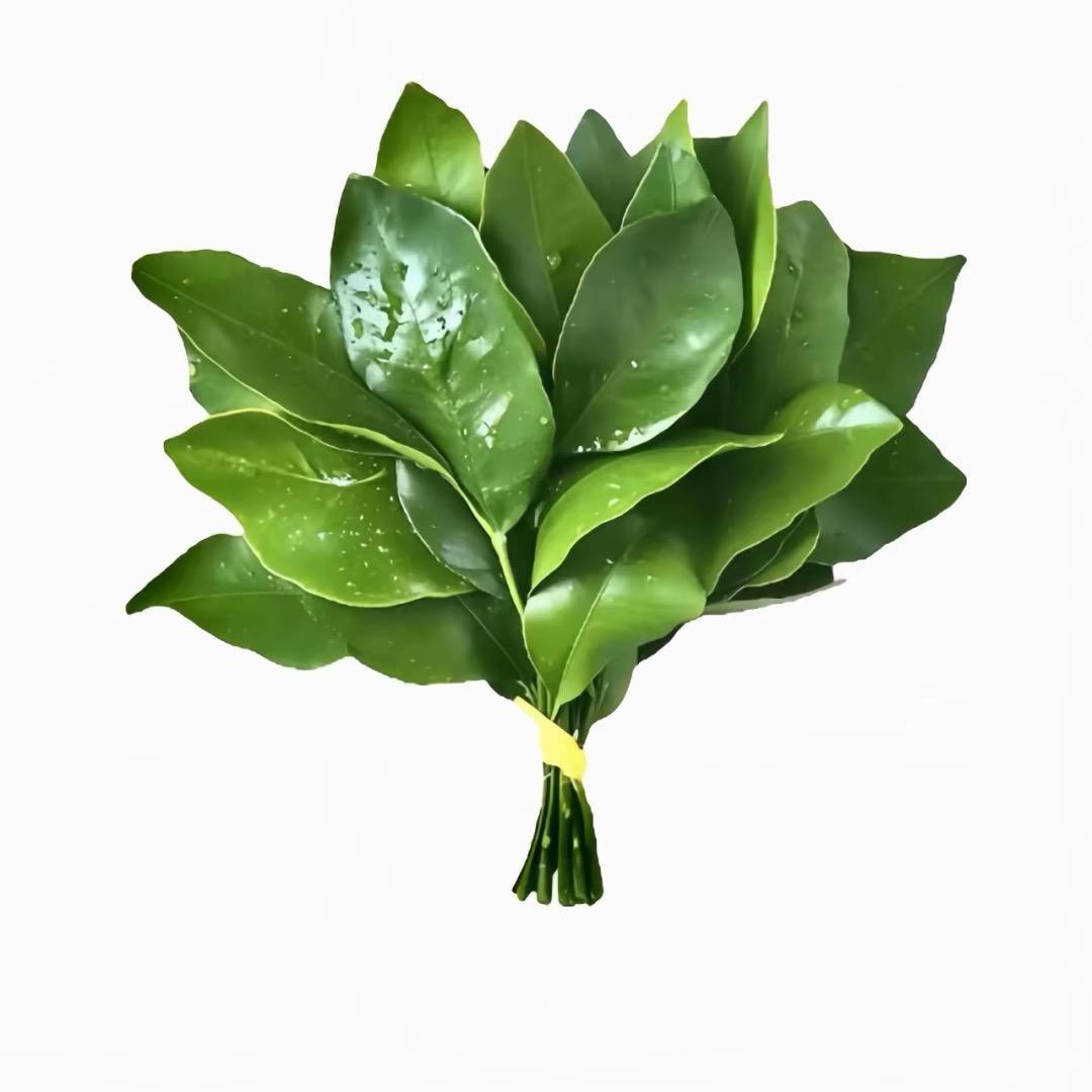 不在水里