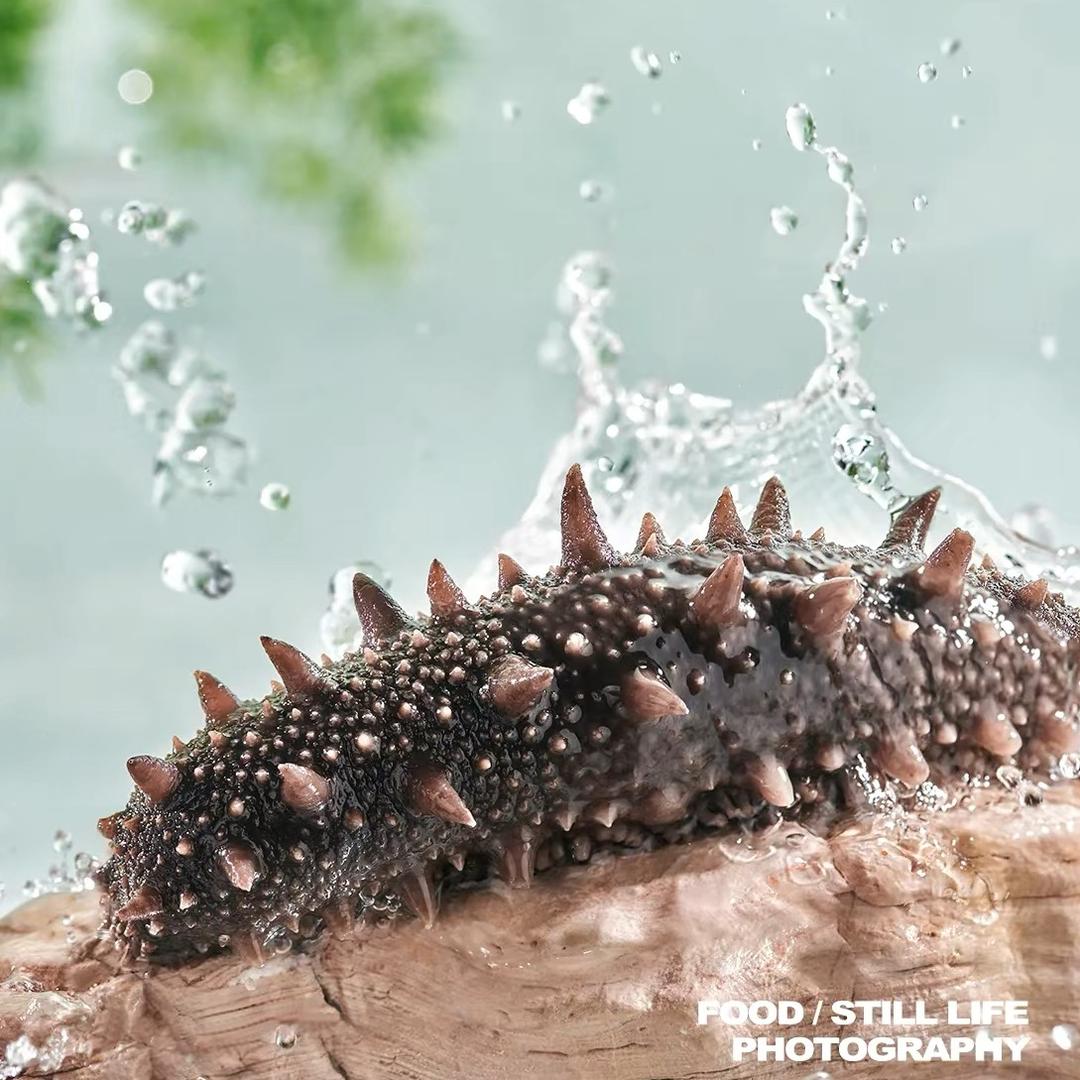 小潘家大连海参