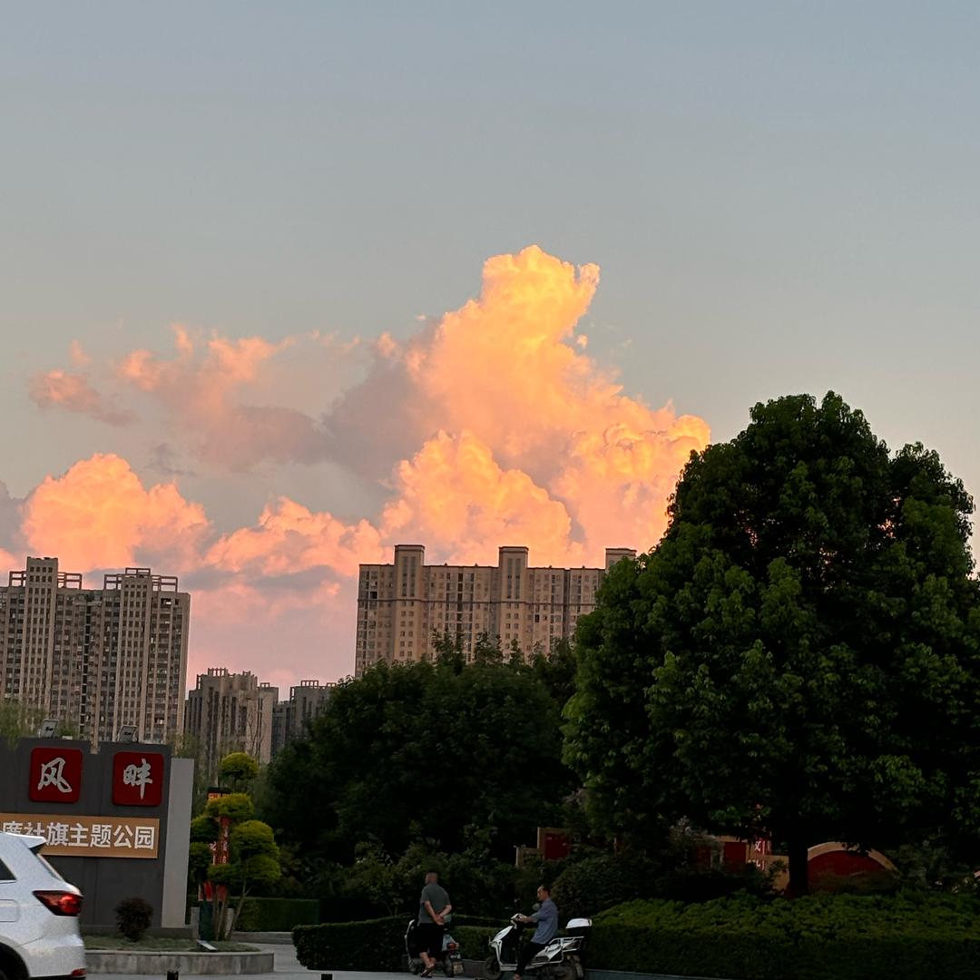 你是