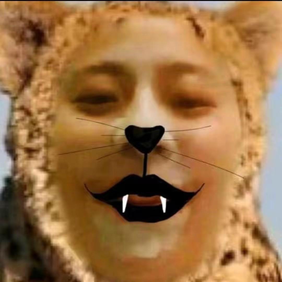 Lisa辰的备孕号