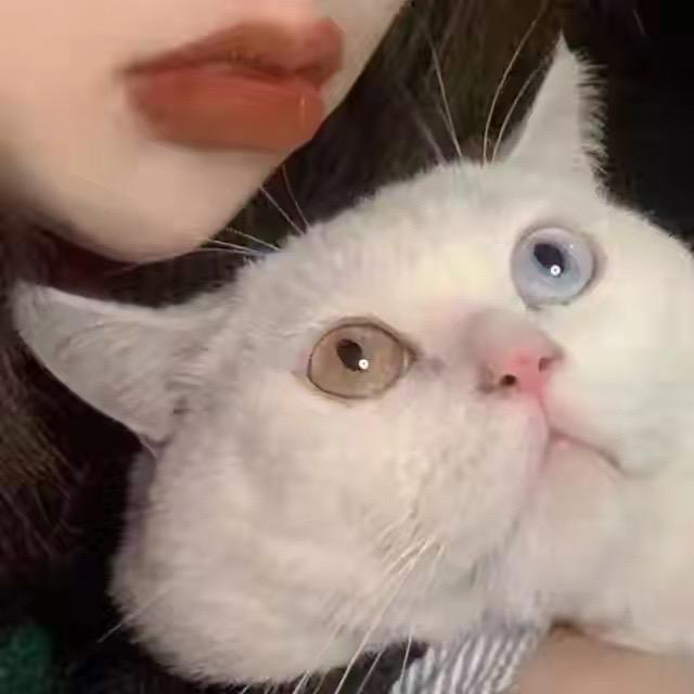 麦尔优选
