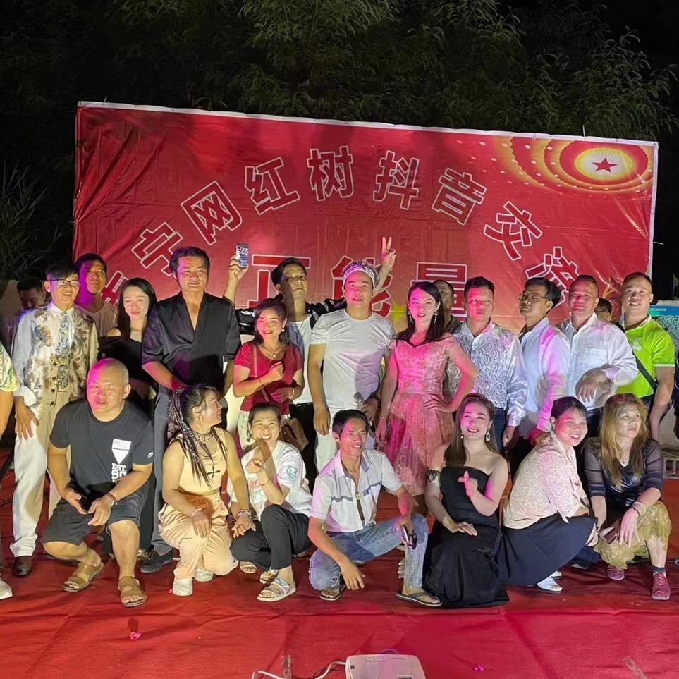 网红树（百姓大舞台）南宁园博园北门对面