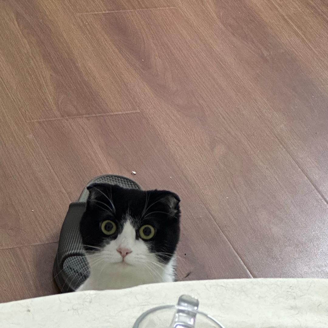 Q.
