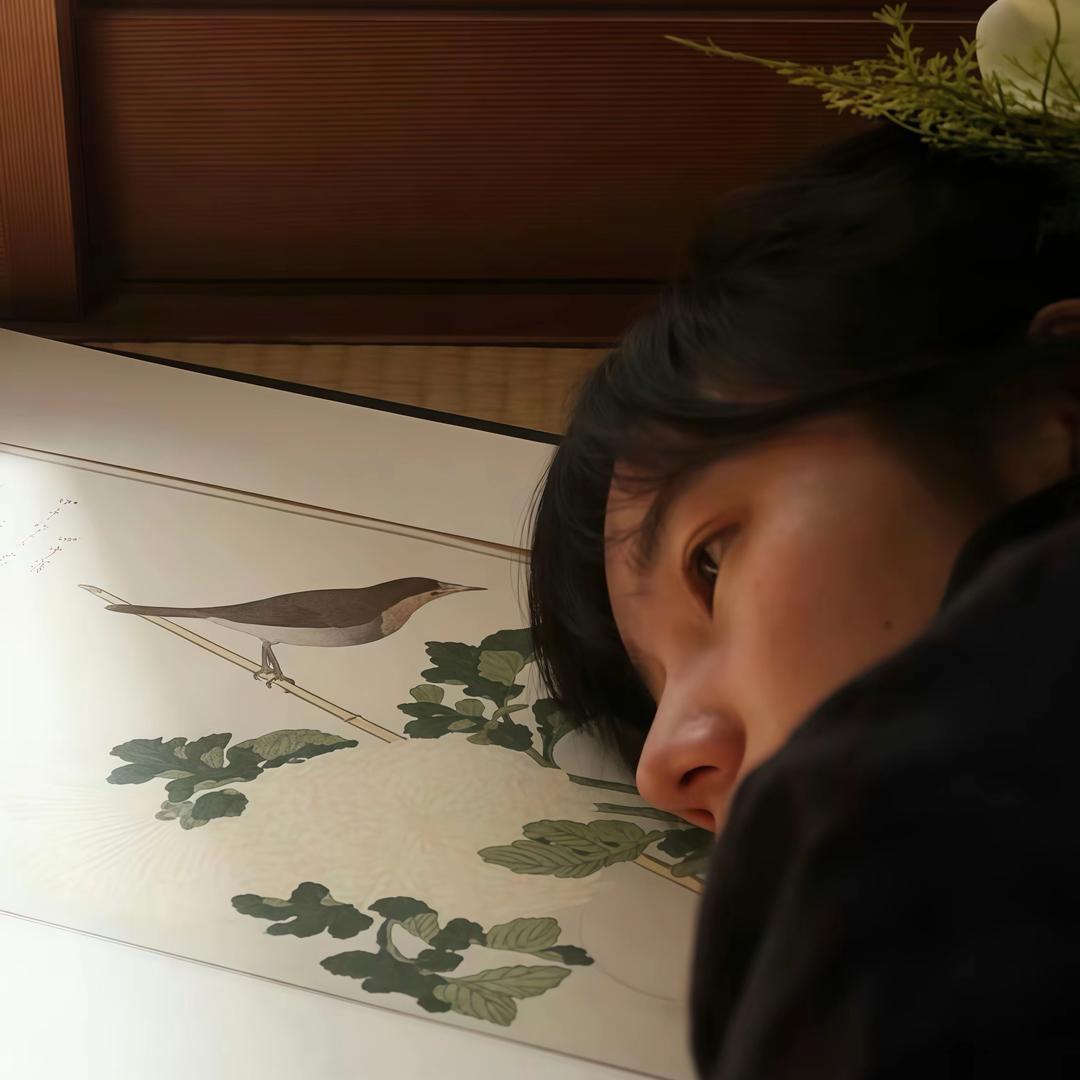 女神下海我数钱