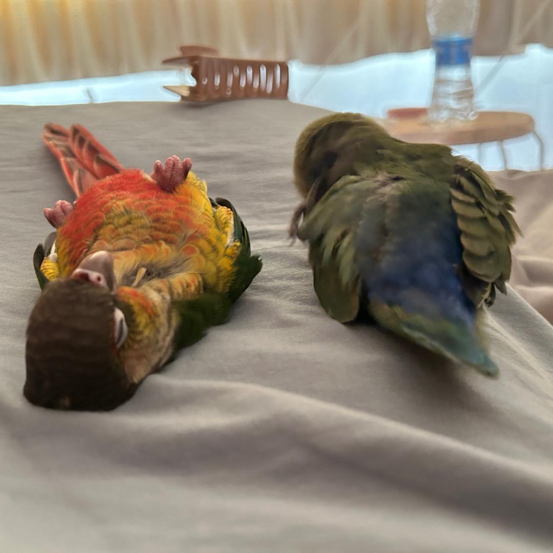 心平气和呵呵呵