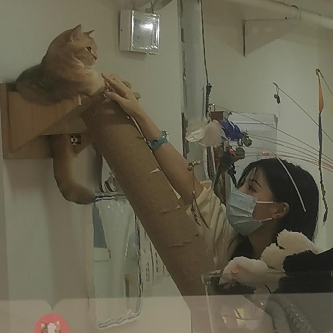 好运到爆