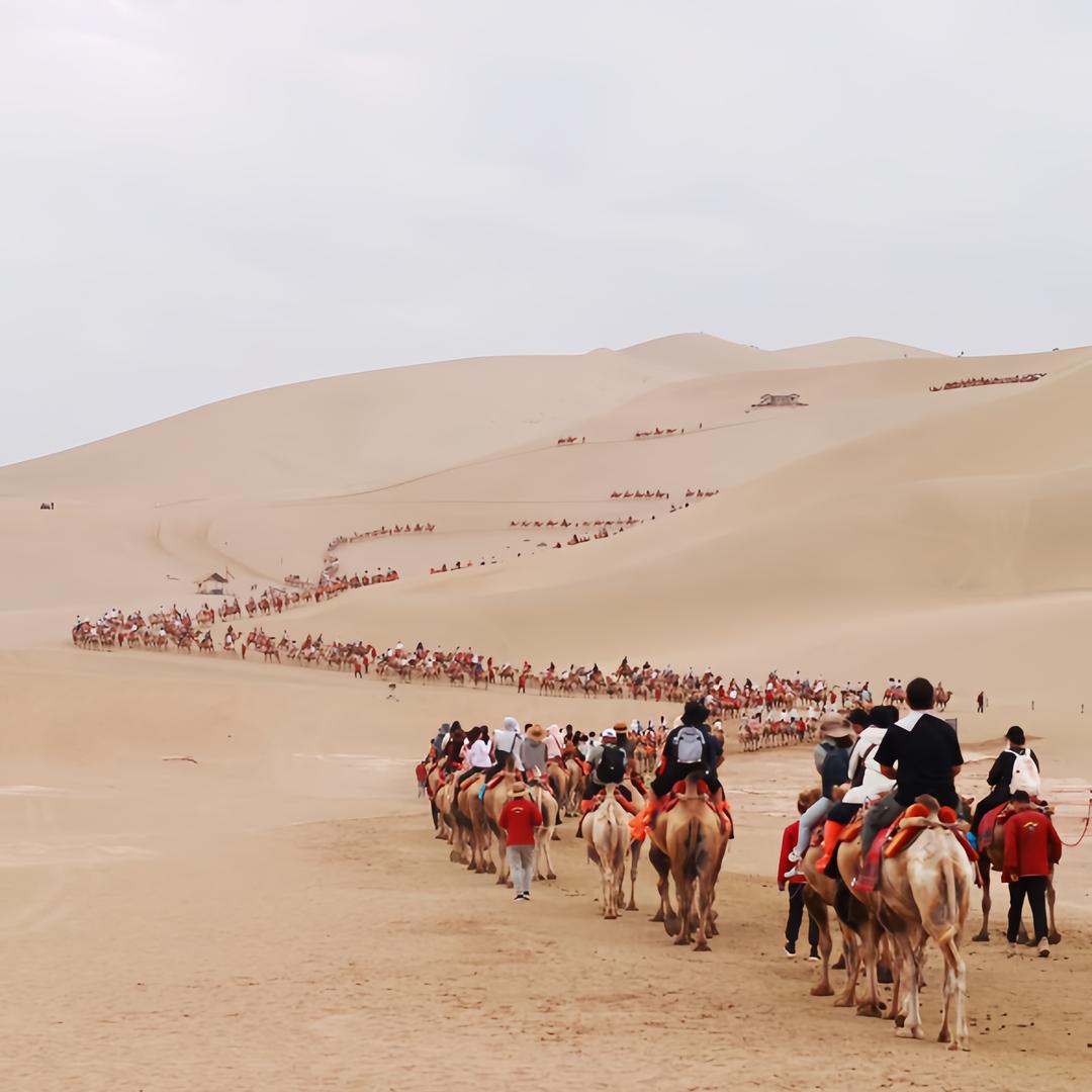 青甘大环线小伍（驴哥旅行）