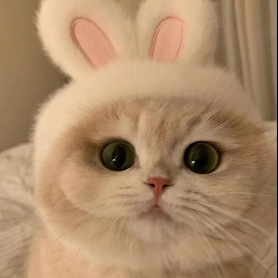 小祉悦