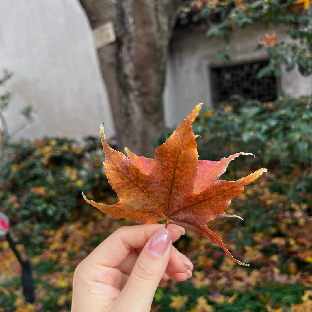 晴天ᥫᩣ