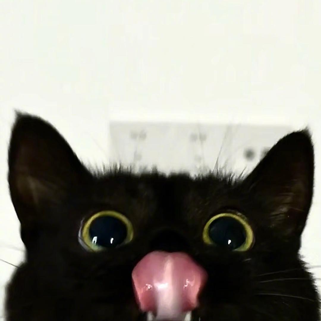 河南升学规划-小晏