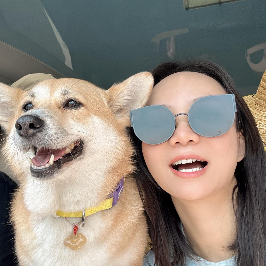 茅台是只小柴基🐕