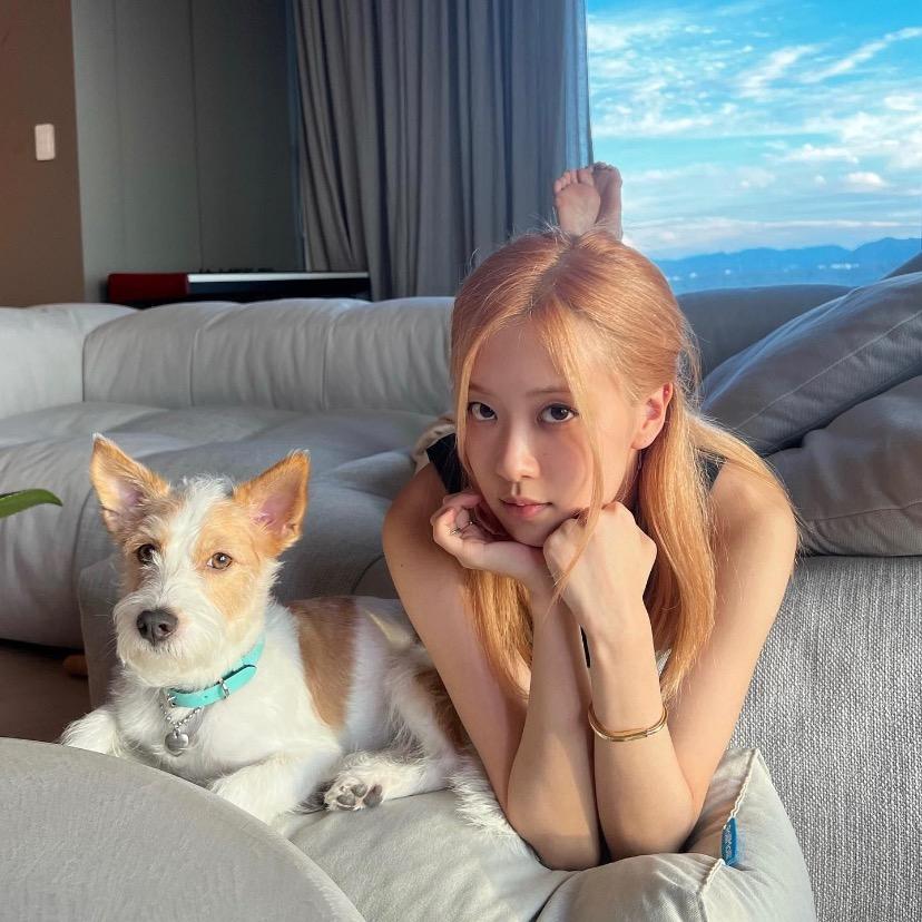 关我什么事