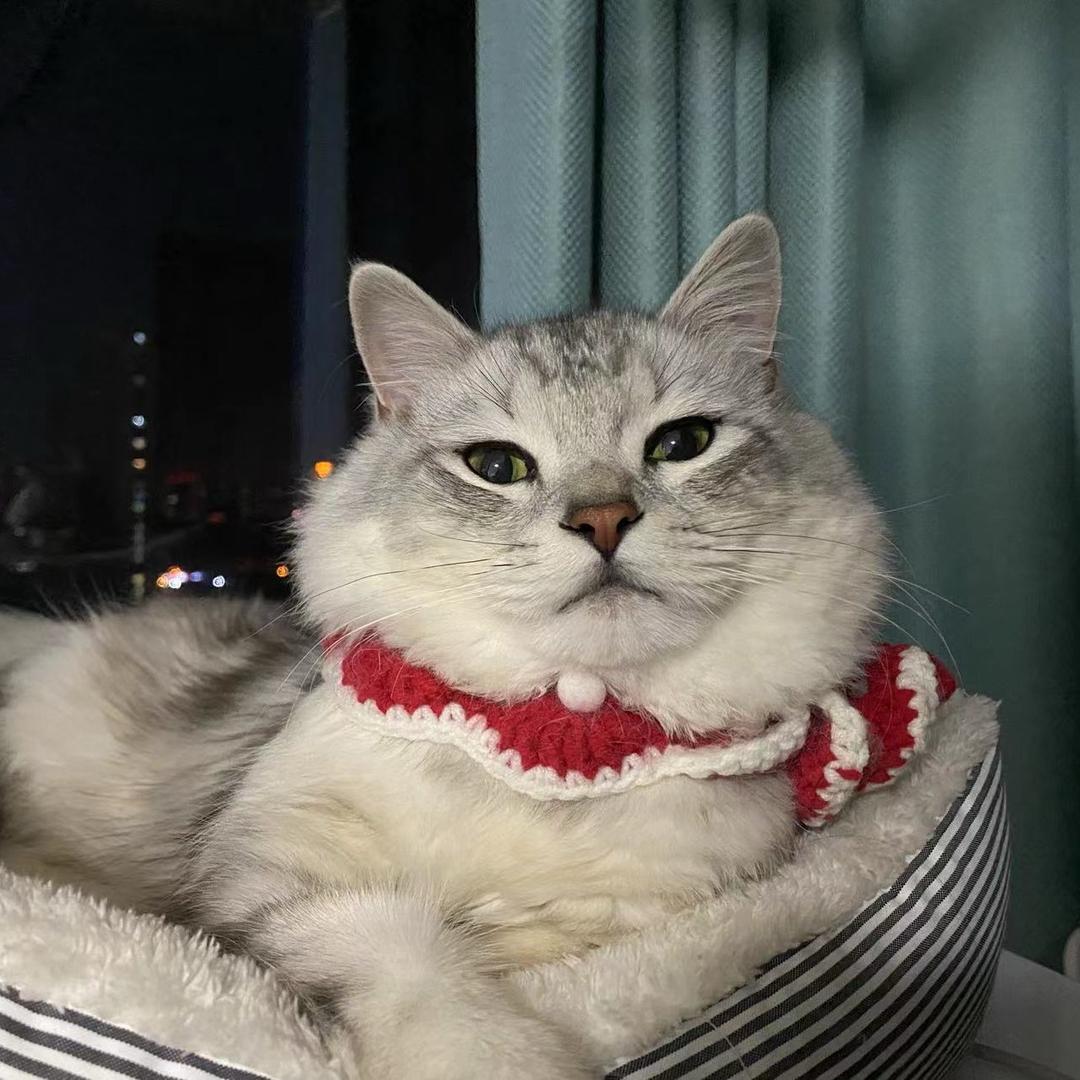 千彩喵孩